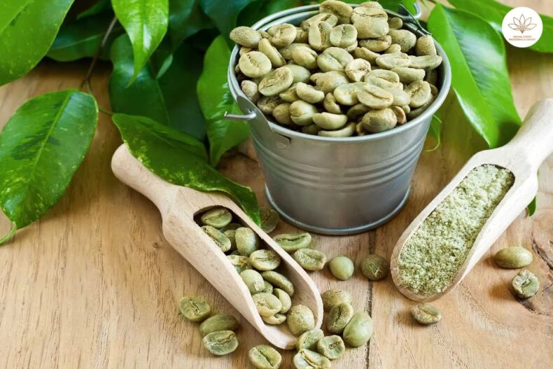 Best Green Coffee Beans In The World