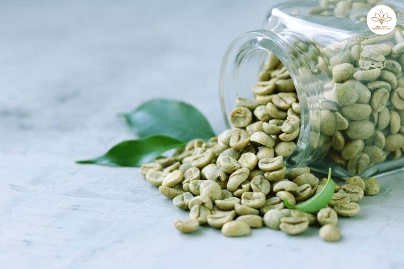 Best Green Coffee Beans In The World