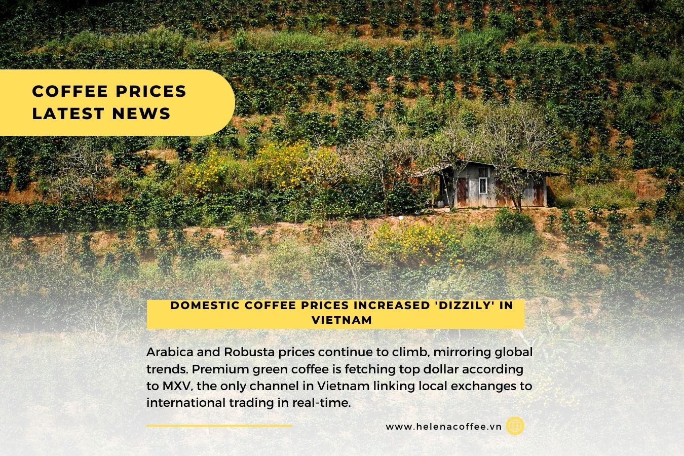 Coffee Prices Latest News