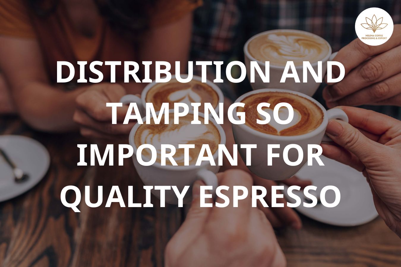 Distribution and Tamping So Important For Quality Espresso