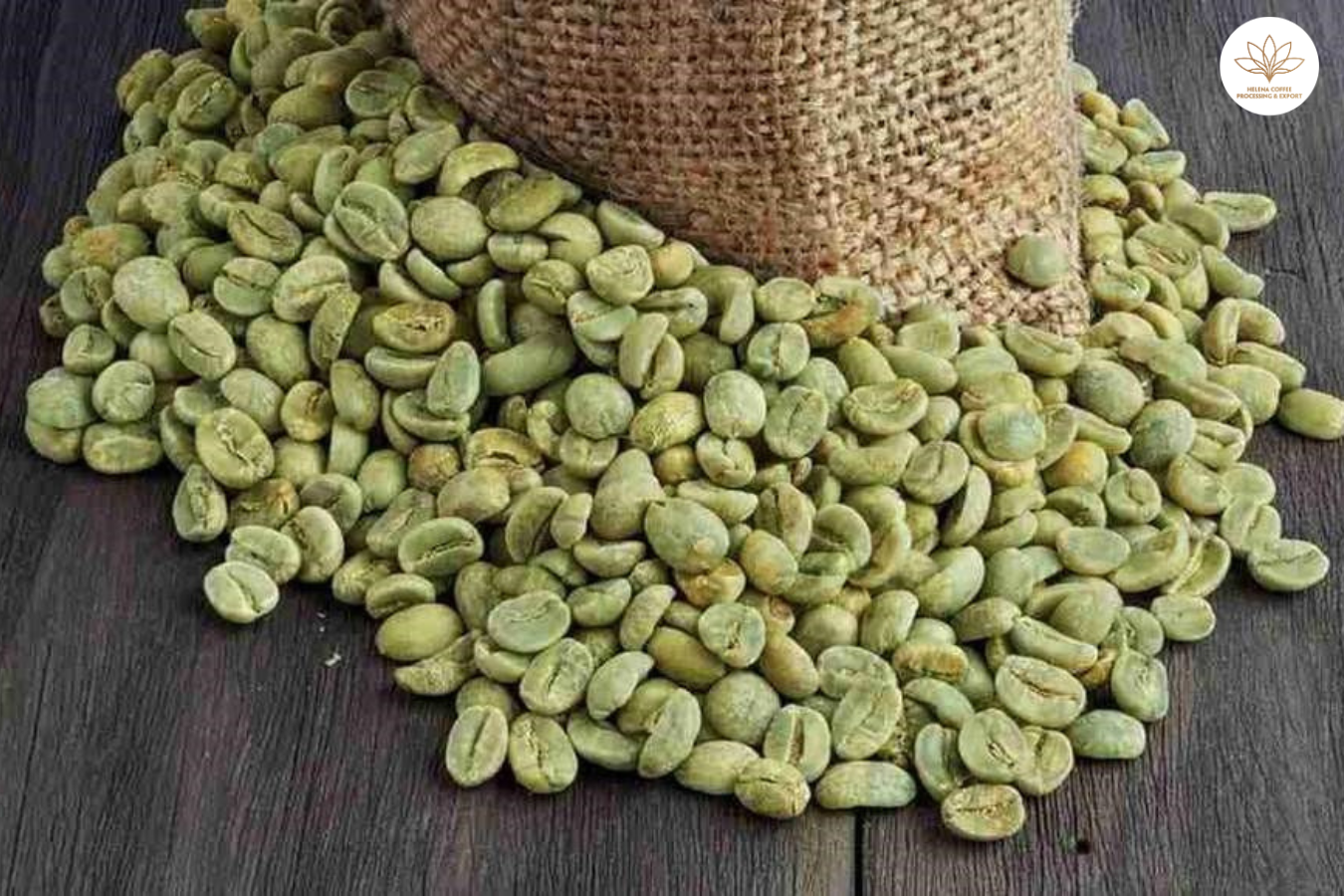 Dónde comprar granos de café verde arábica
