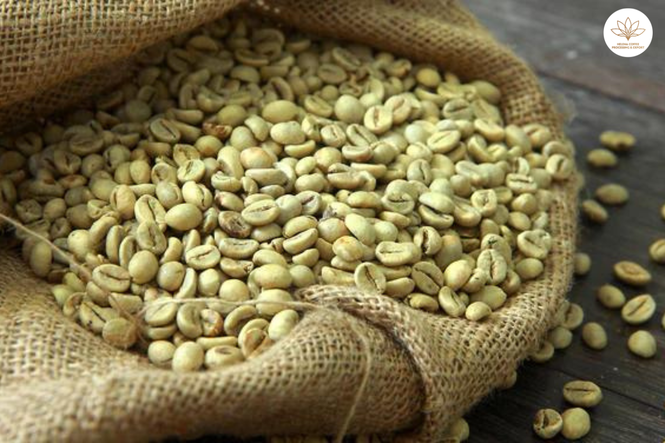 Dónde comprar granos de café verde arábica 