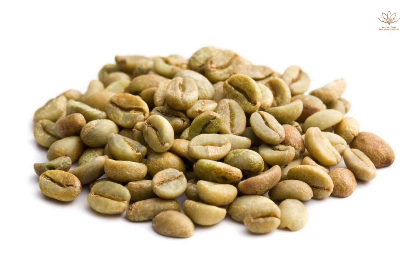 VietNam Arabica Green Coffee Beans
