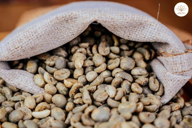 VietNam Arabica Green Coffee Beans