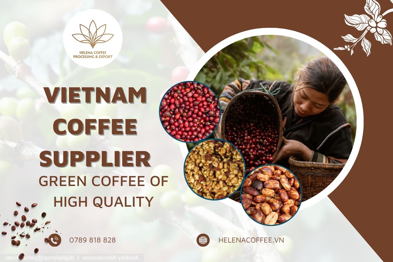 Vietnam Coffee Supplier