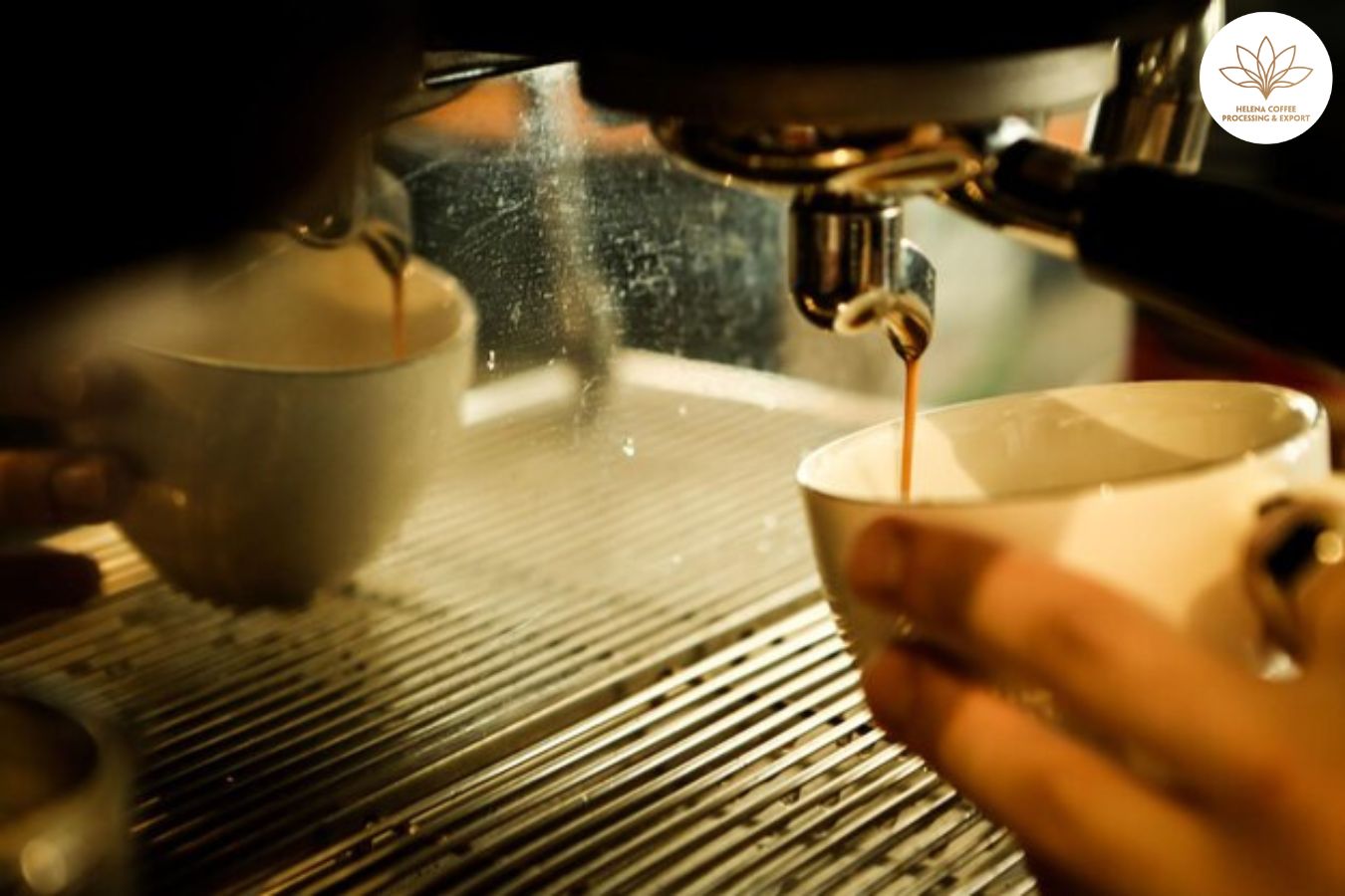 ¿Por Qué Es Importante La Precisión En Las Máquinas De Café Expreso