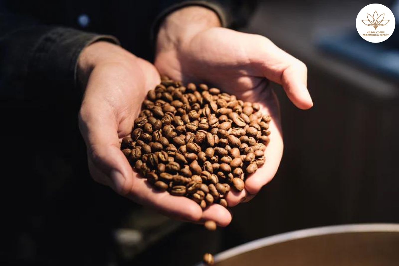 nordic roasters driving innovation in specialty coffee
