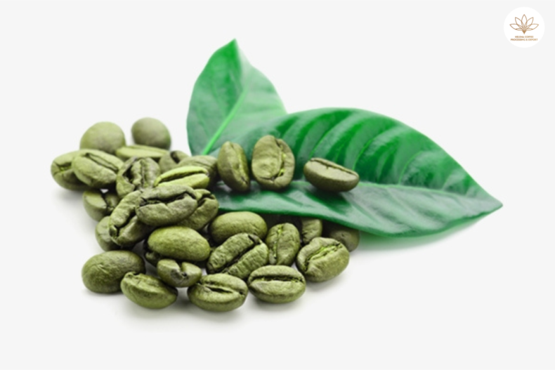 where to buy arabica green coffee beans