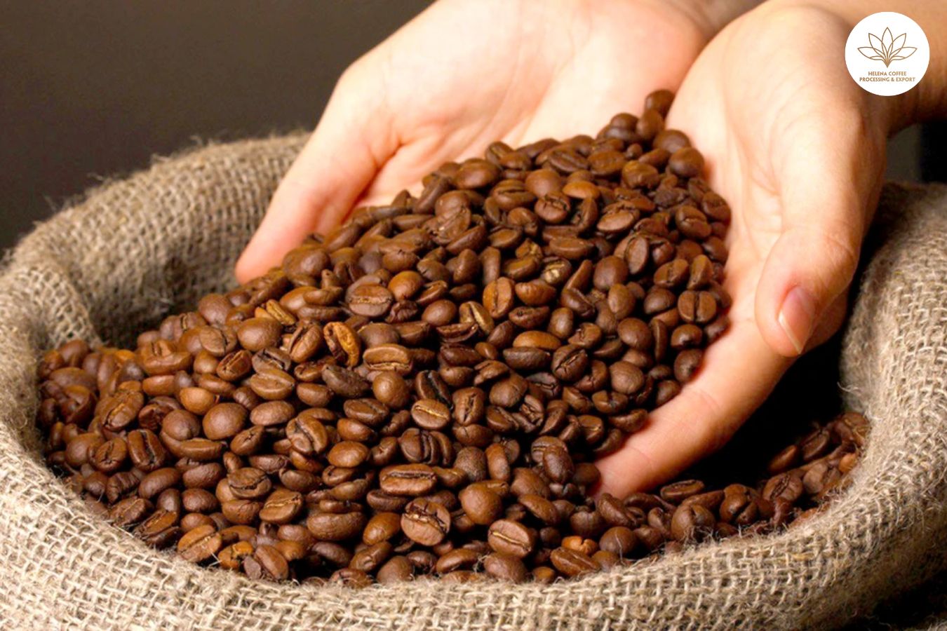 Health Benefits of Robusta Clean Coffee