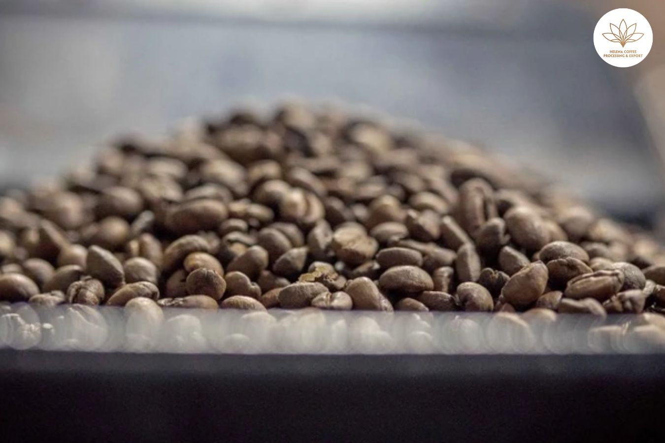 How To Roast Robusta Clean