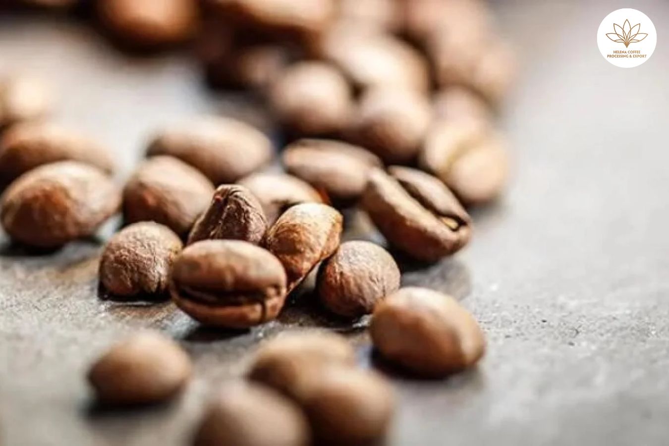 Where To Buy Wholesale Coffee Beans