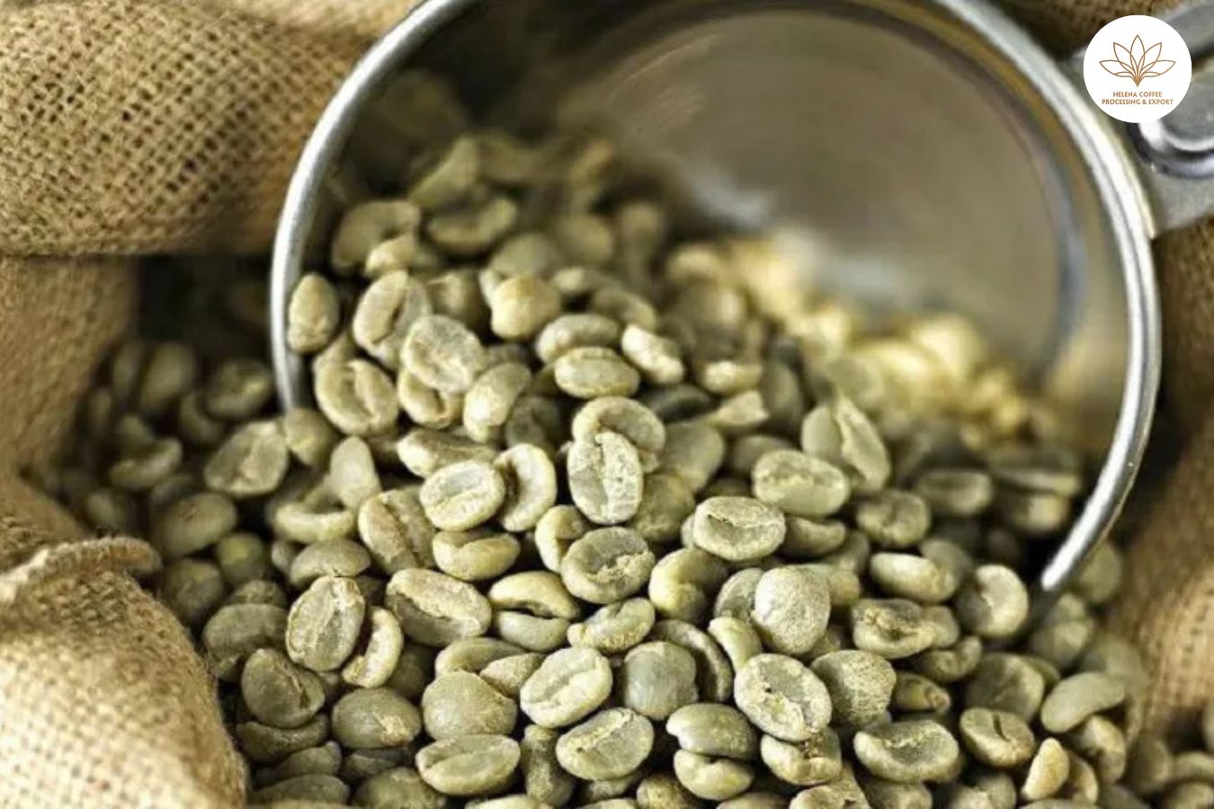 Where To Buy Wholesale Coffee Beans