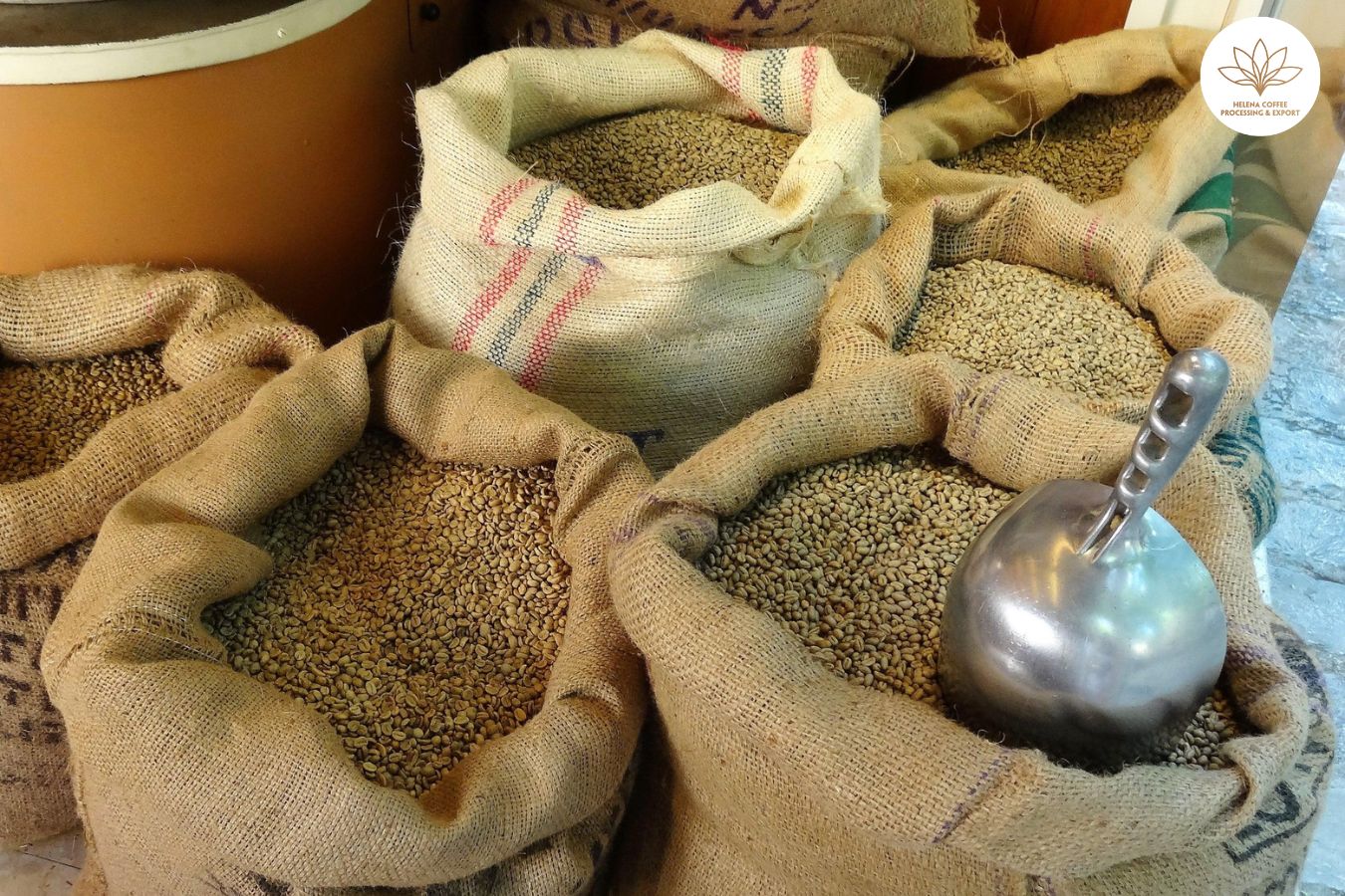 Wholesale Coffee Beans