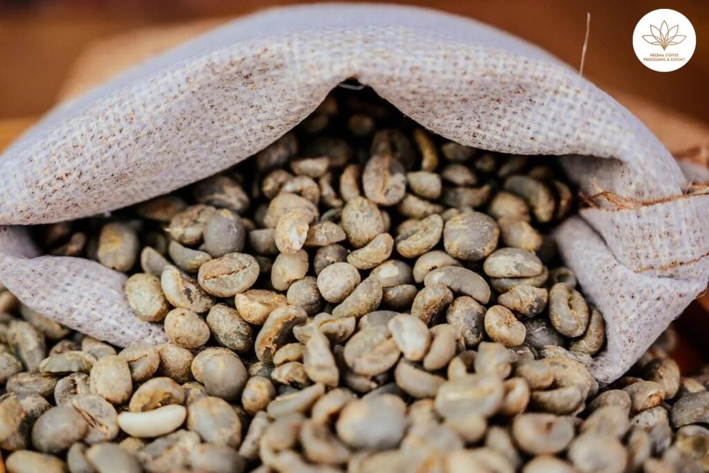 organic coffee production