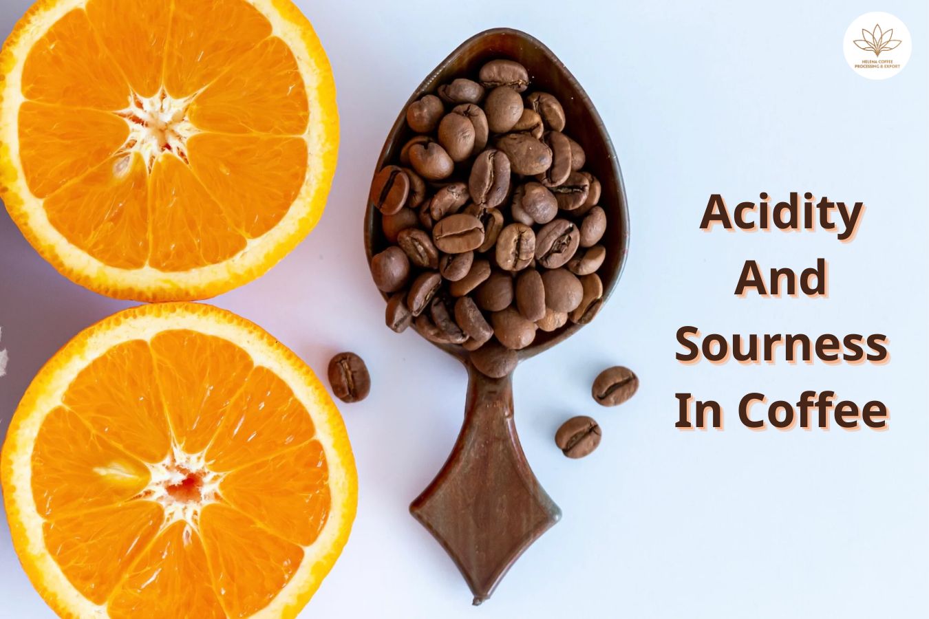 Acidity And Sourness In Coffee
