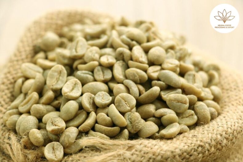 Store Green Coffee Beans