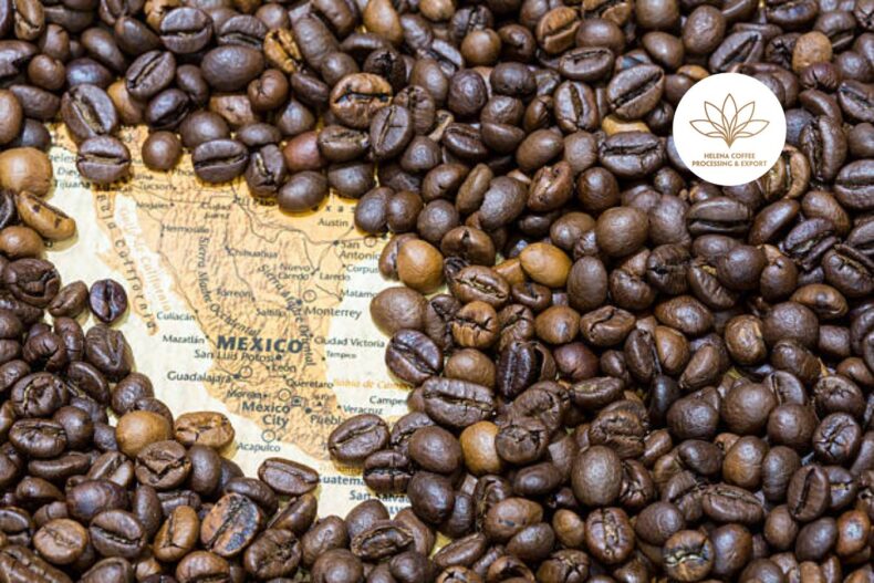 coffee refilling widespread in Mexican