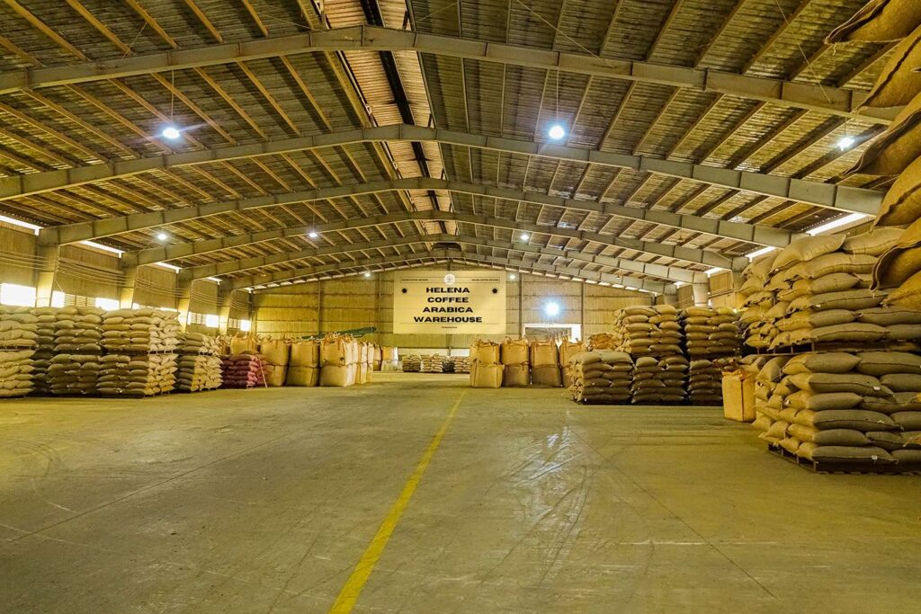 Jute bags of green coffee stacked in the Helena Coffee warehouse