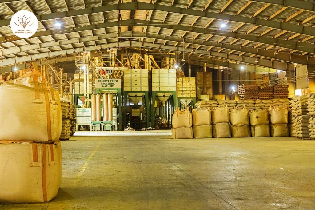 Bulk bags of green coffee at the Helena Coffee processing plant