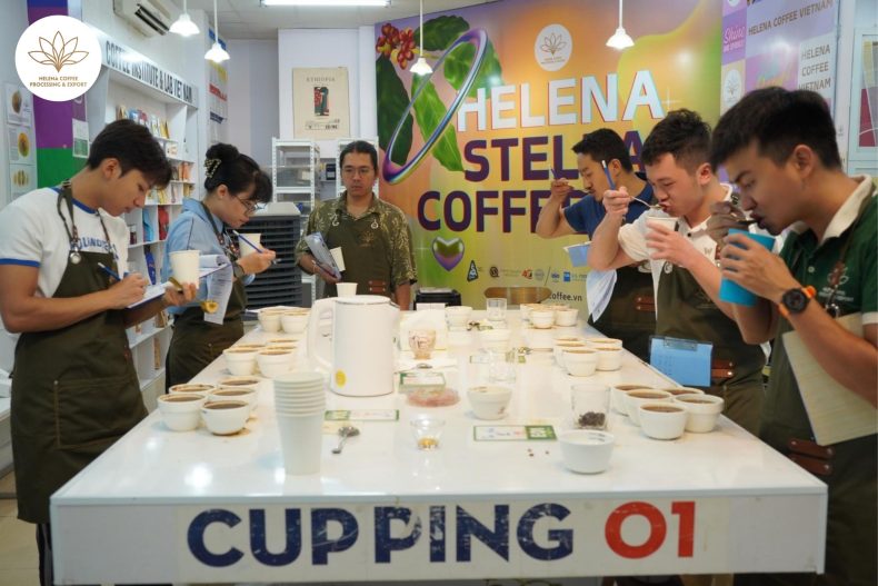 Why Buon Ma Thuot Is Becoming Asia's New Coffee Education Hub