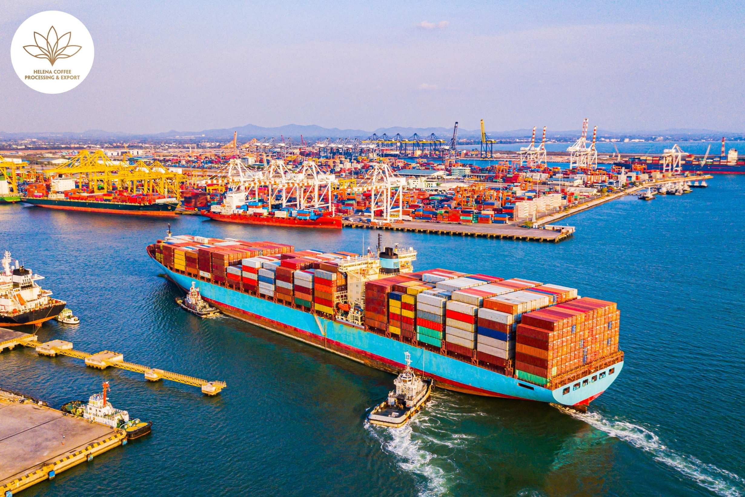 China’s Zero-Tariff Policy Coffee
