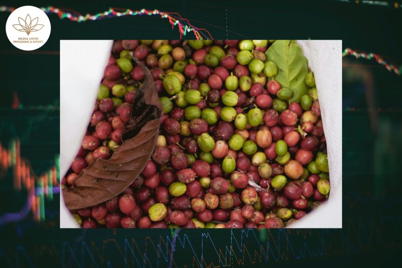 Coffee Prices Face Three Major Risks