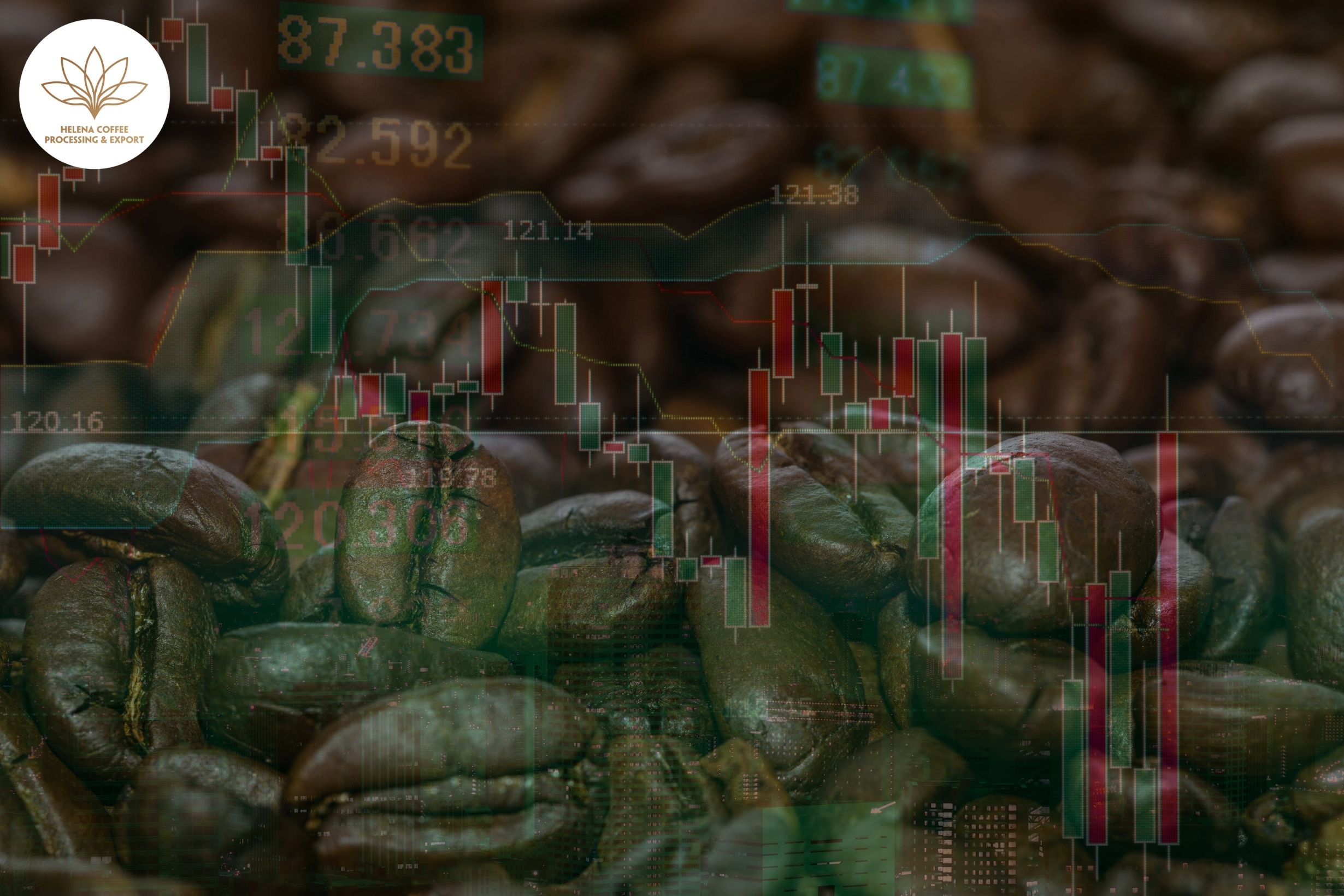 Coffee Prices Today (July 14)