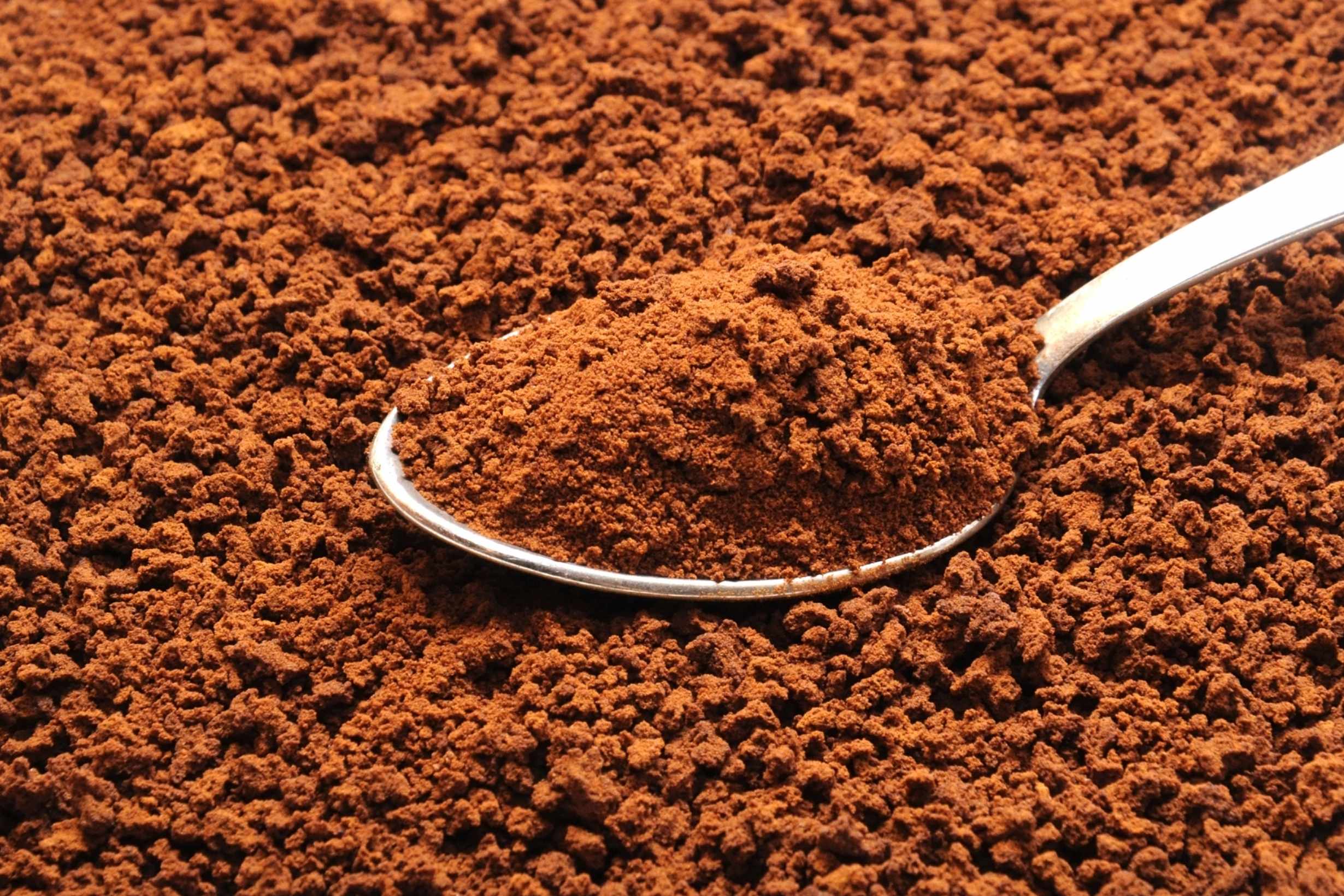 Freeze Dried vs Spray Dried Key Differences