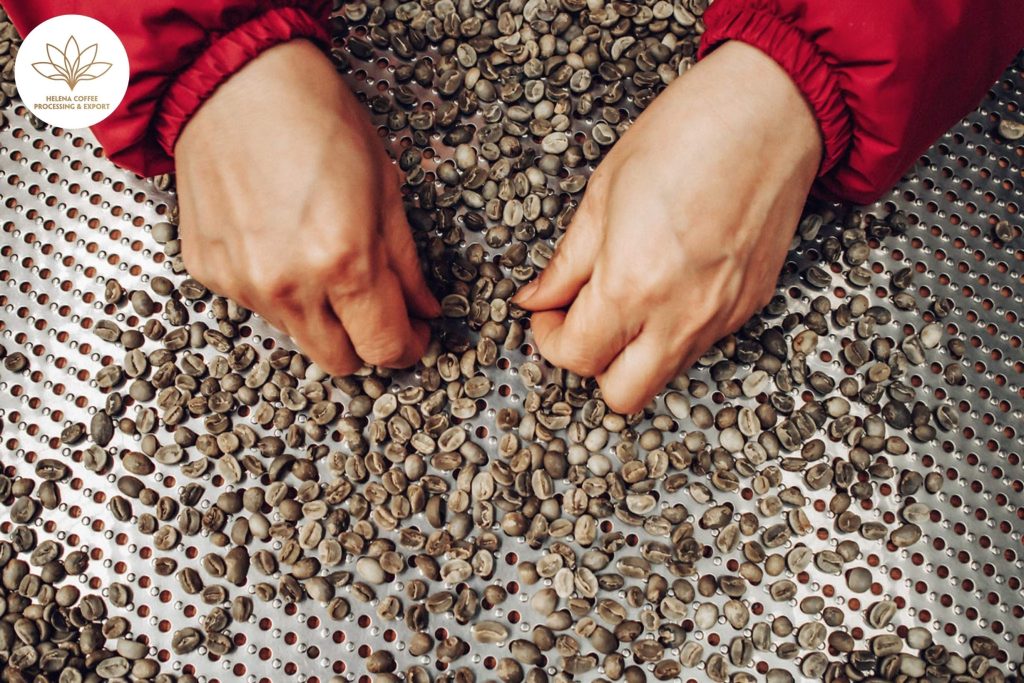 Understanding Green Coffee Defects