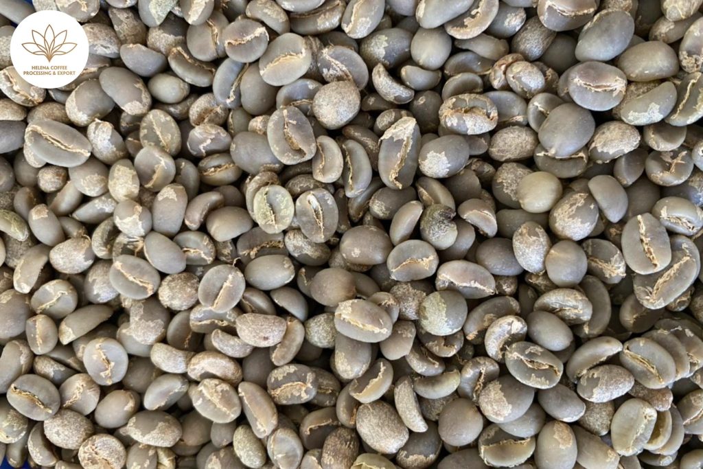 Why Is Moka Coffee Difficult to Grow