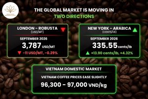 Coffee Prices Today August 10
