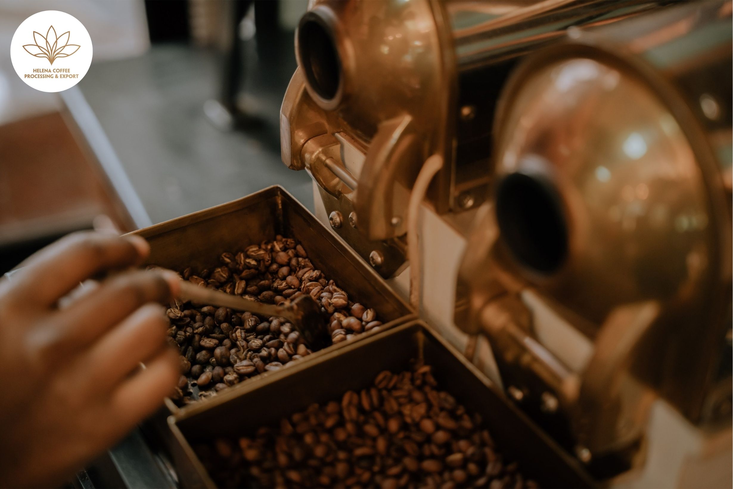 Ethephon and Coffee Quality