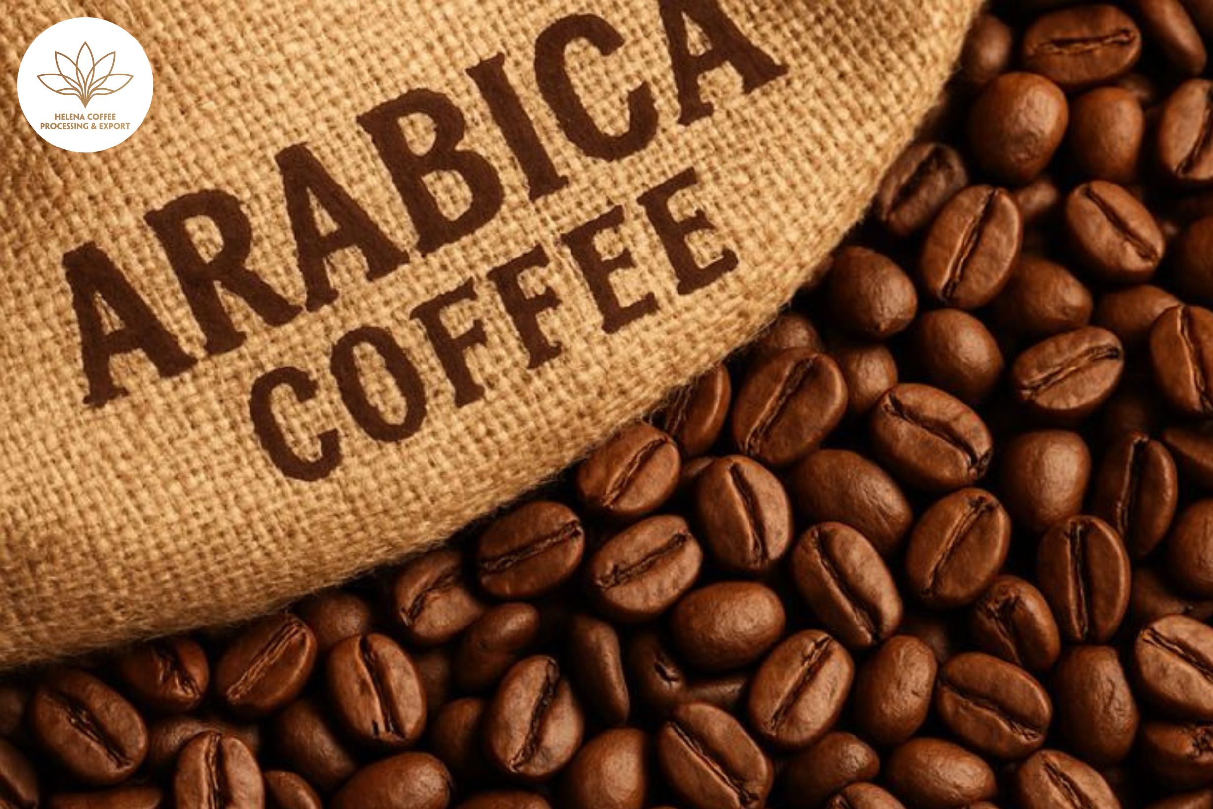 VIETNAMESE ARABICA COFFEE