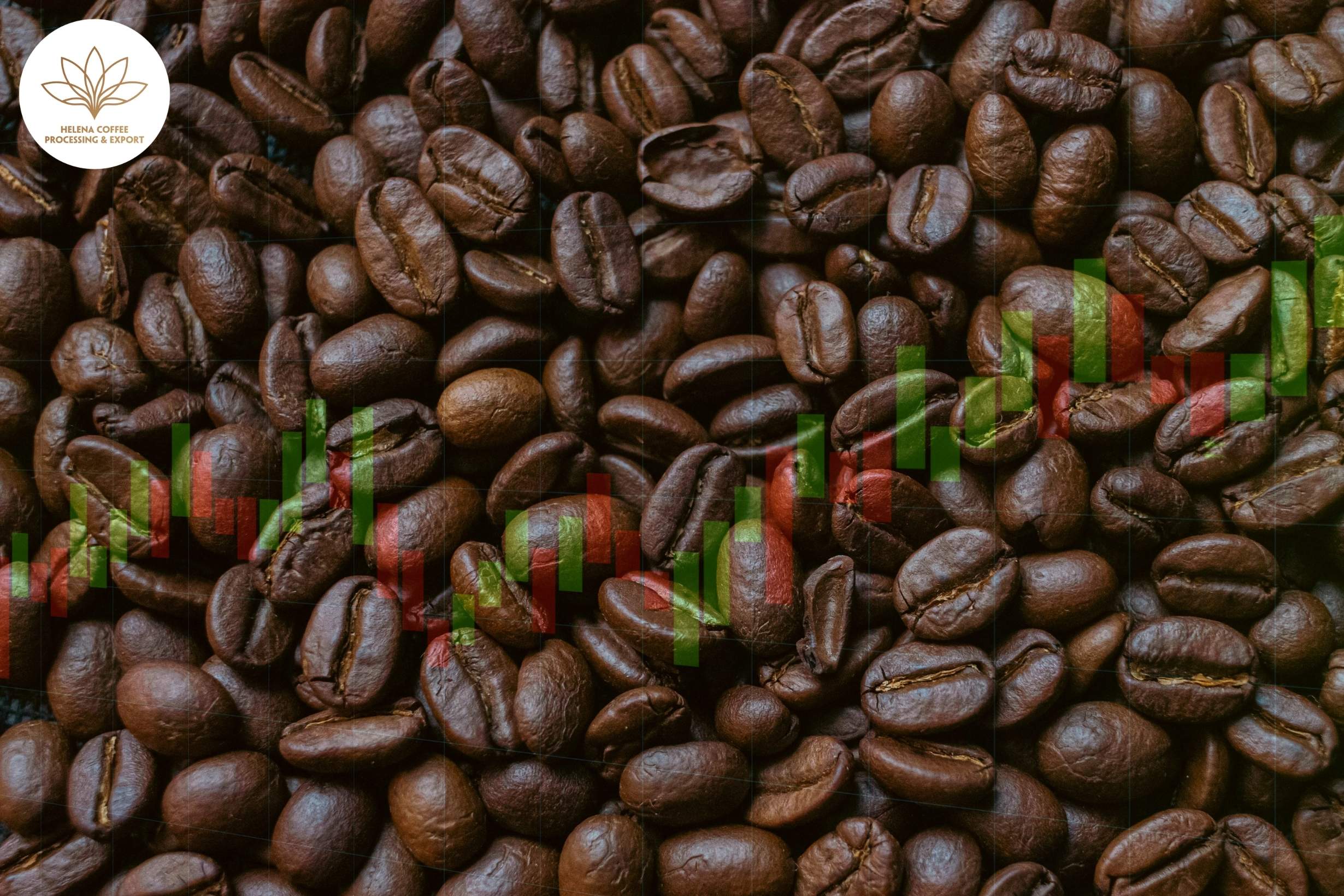 Coffee Prices Today (September 22)