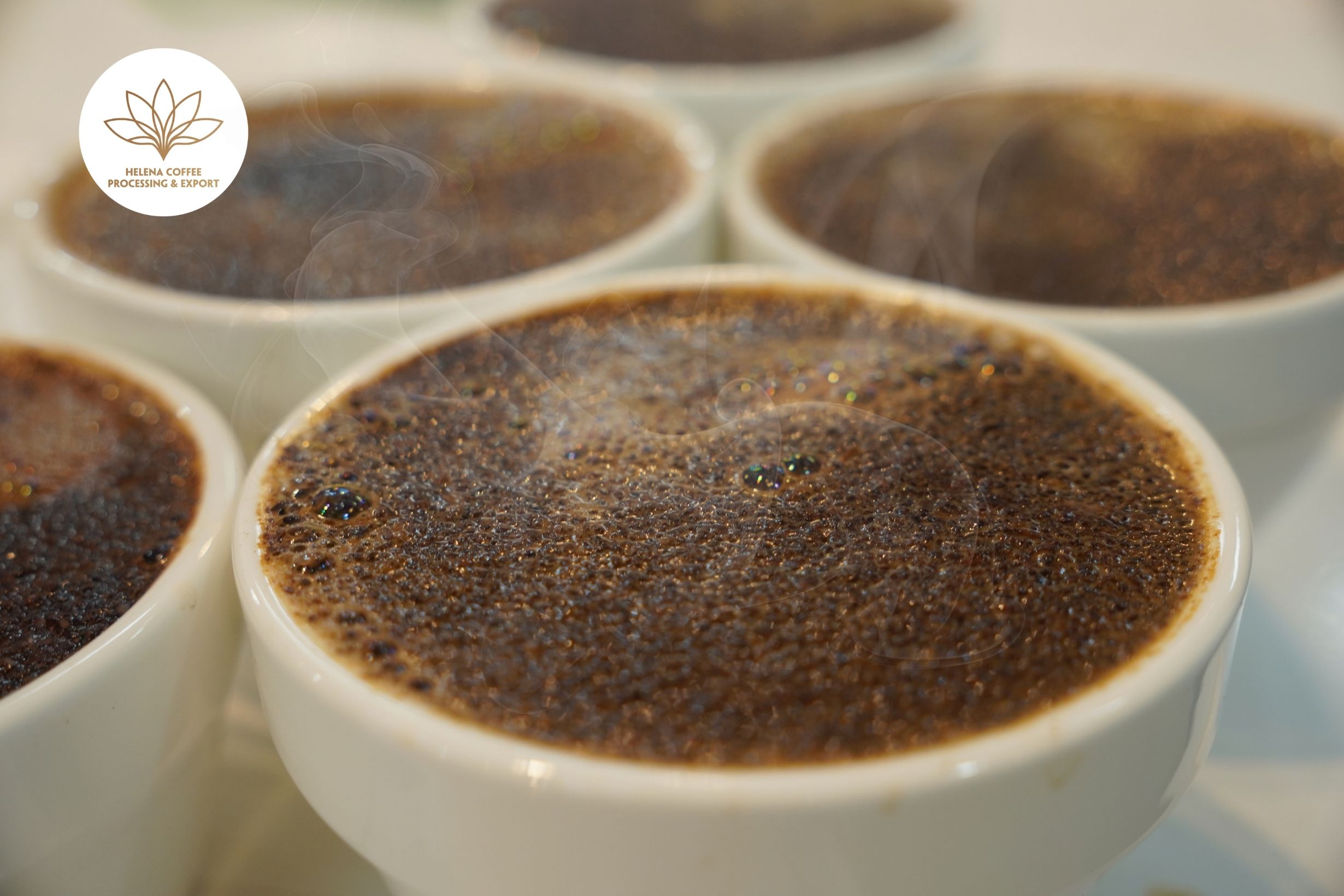 Coffee Aroma