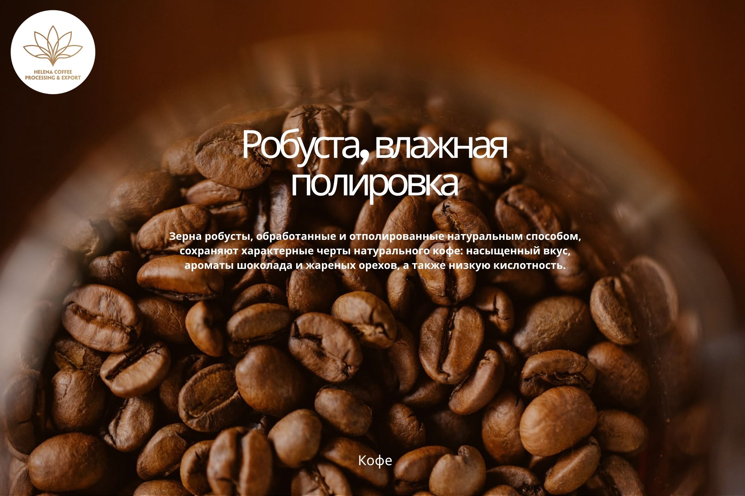 Кофе Робуста Wet Polished – влажная полировка зерна