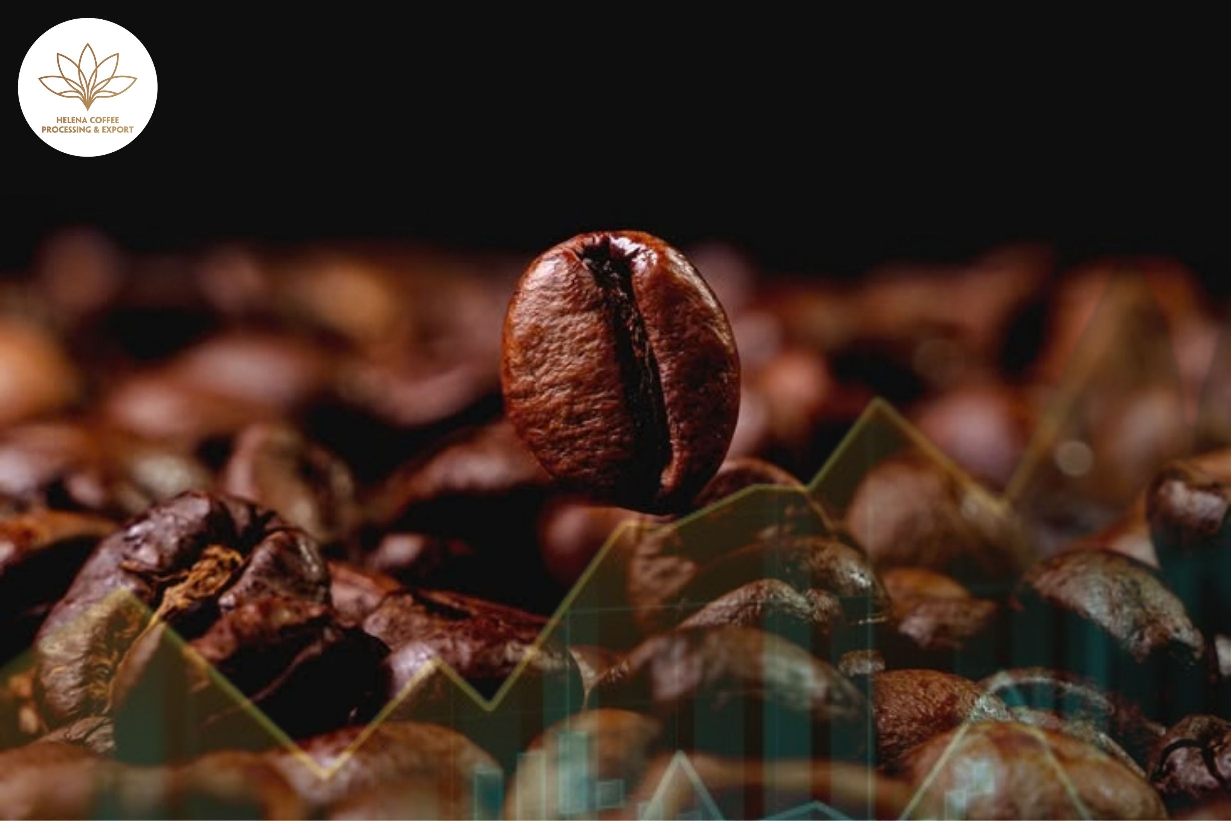 Coffee Prices Today October 9