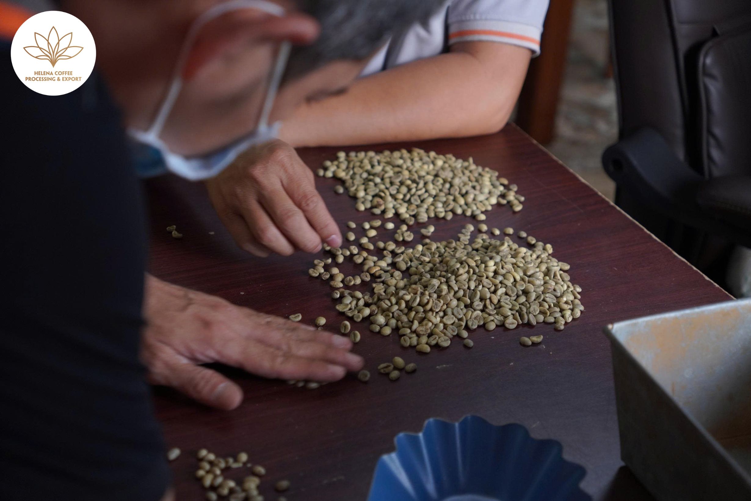 Vietnam’s Coffee Grading System